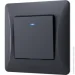 Videx  1-      BINERA VF-BNSW1L-BG  