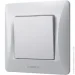 Videx  1-    BINERA VF-BNSW1-SS 