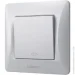Videx      BINERA VF-BNSW1I-SS 