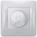 ĳ Videx  LED 200     BINERA VF-BNDML200-SS 