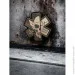 Viking - Paramedic (4341)