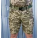 Viking    - STURM   46 (170308)