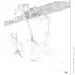 Vilo  SPC Calacatta Snow 1200X600 