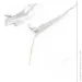 Vilo  SPC Calacatta White 1200X600 