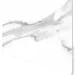 Vilo  SPC Calacatta White 600X300 