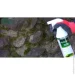 Vincents Polyline    Fungi 1 