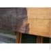 Vincents Polyline    Fungi 1 