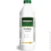 Vincents Polyline    Fungi 1 