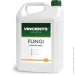 Vincents Polyline    Fungi 5 