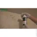 Vincents Polyline    Fungi 5 