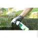 Vincents Polyline    Fungi 5 
