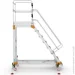   Virastar EPL2000
