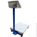 VIS   3001- (()400500)