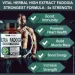   Vital Herbal  -     Fadogia Agrestis Maximum Strength 90  (4384169395)