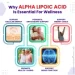   Vital Herbal  -    Liposomal Alpha Lipoic Acid with Biotin Vitamin C 150  (4384162654)