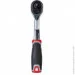        1/4 Vitals Master (000186172)