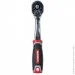        1/4 Vitals Master (000186172)