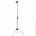        Vitals Master (000191516)