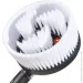   Vitals RB (000057880)