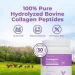   Vitamedica  -   , , ,    Collagen Peptides 480  (4384308684)