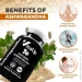   Vitaup   - Ashwagandha 60 