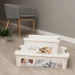 Vivendi     CAT 27   265x495x320 