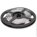 LED  Voltronic   3528, (60 ) 5   Blue