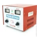   Voltronic (6V/12V/24V, 100Ah )