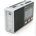  Voltronic GOLON RX-8866 Black