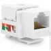  Voltronic Keystone Jack RJ-45 TCHK5E UTP, 17,0 , Q50
