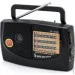  Voltronic KB-308, FM , AUX