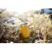  Wacaco  Octaroma Lungo 300 ,  (WOCT300YEL)