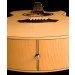  Washburn EA20