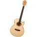   Washburn EA20