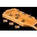   Washburn EA20