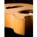   Washburn EA20