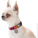 Waudog   " 3"   L 25  33-49 