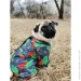 Waudog ³ Clothes   M35