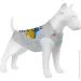Waudog  Clothes ĳ M45 