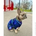 Waudog  Clothes  NASA21 L50