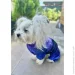 Waudog  Clothes  NASA21 M45