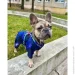 Waudog  Clothes  NASA21 M45