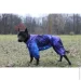 Waudog  Clothes  NASA21 M45