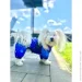 Waudog  Clothes  NASA21 M45