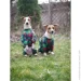 Waudog ³ Clothes   S40