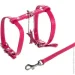  Waudog  COLLAR Glamour   9  33997
