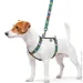     H- WAUDOG Nylon""  , S,  15 , A 30-40, B 30-50 (5606)