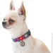 Waudog   " "   L 25  33-49 