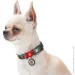 Waudog   ""   L 25  33-49 