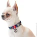 Waudog   ""   L 25  33-49 